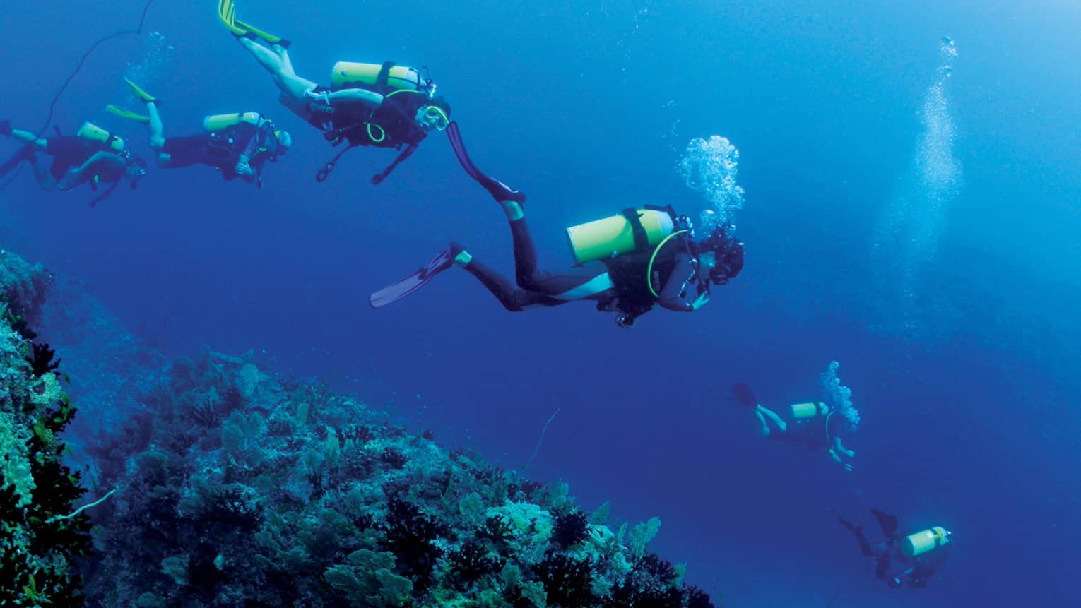 Group of scuba divers explore ocean coral reef underwater