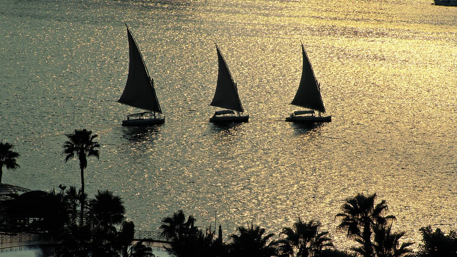 Silhouettes of three traditional felucca wooden sailboats on the Nile river at sunset