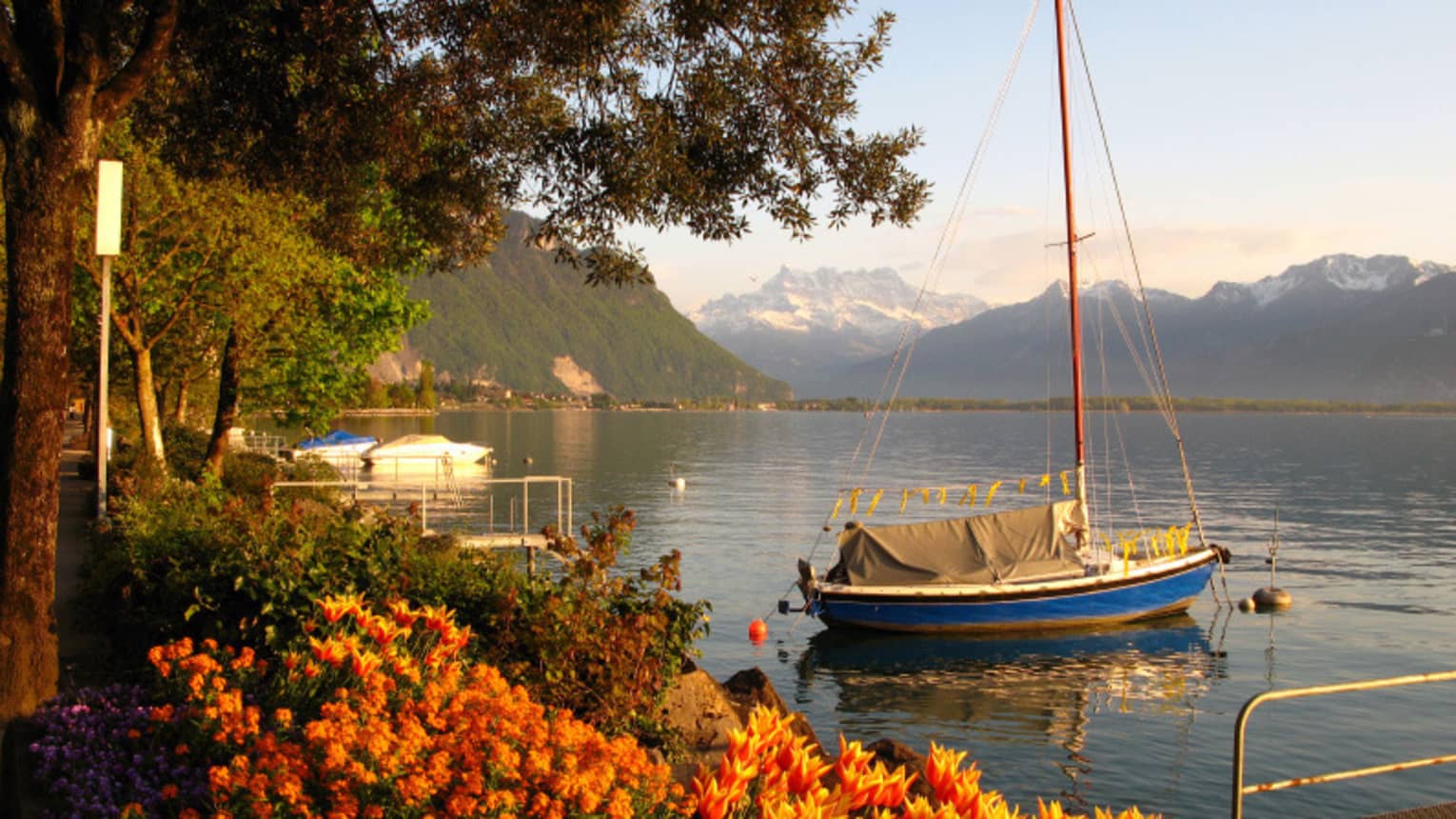 Blue sailboat rests in lake harbour by tree, flowers with mountains in background