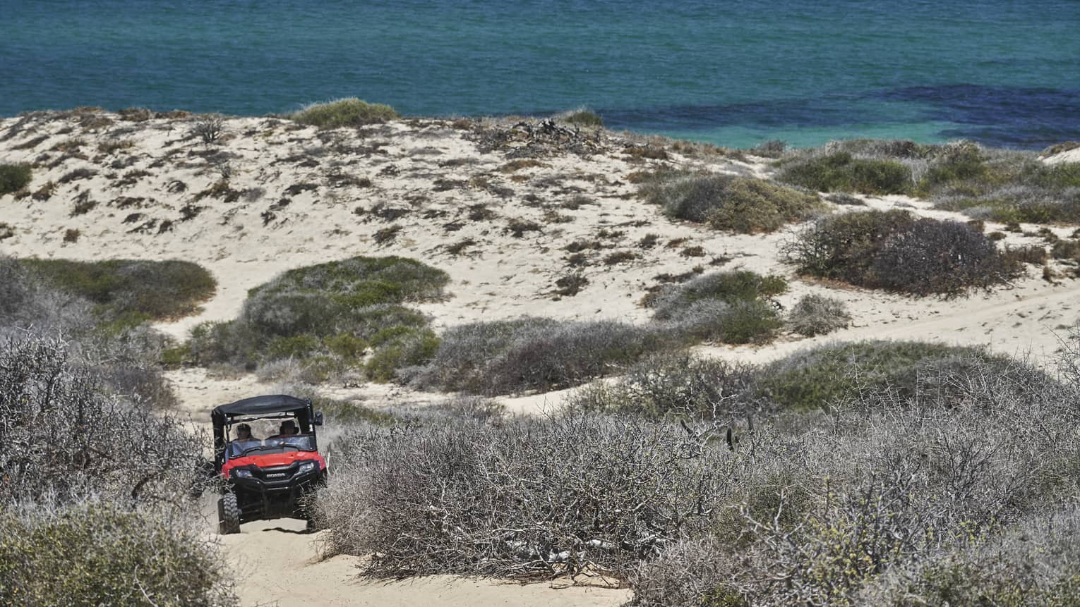 An off-road vehicle navigates a sandy trail surrounded by brush and dunes, with the ocean in the background, capturing the thrill of an off-road adventure.