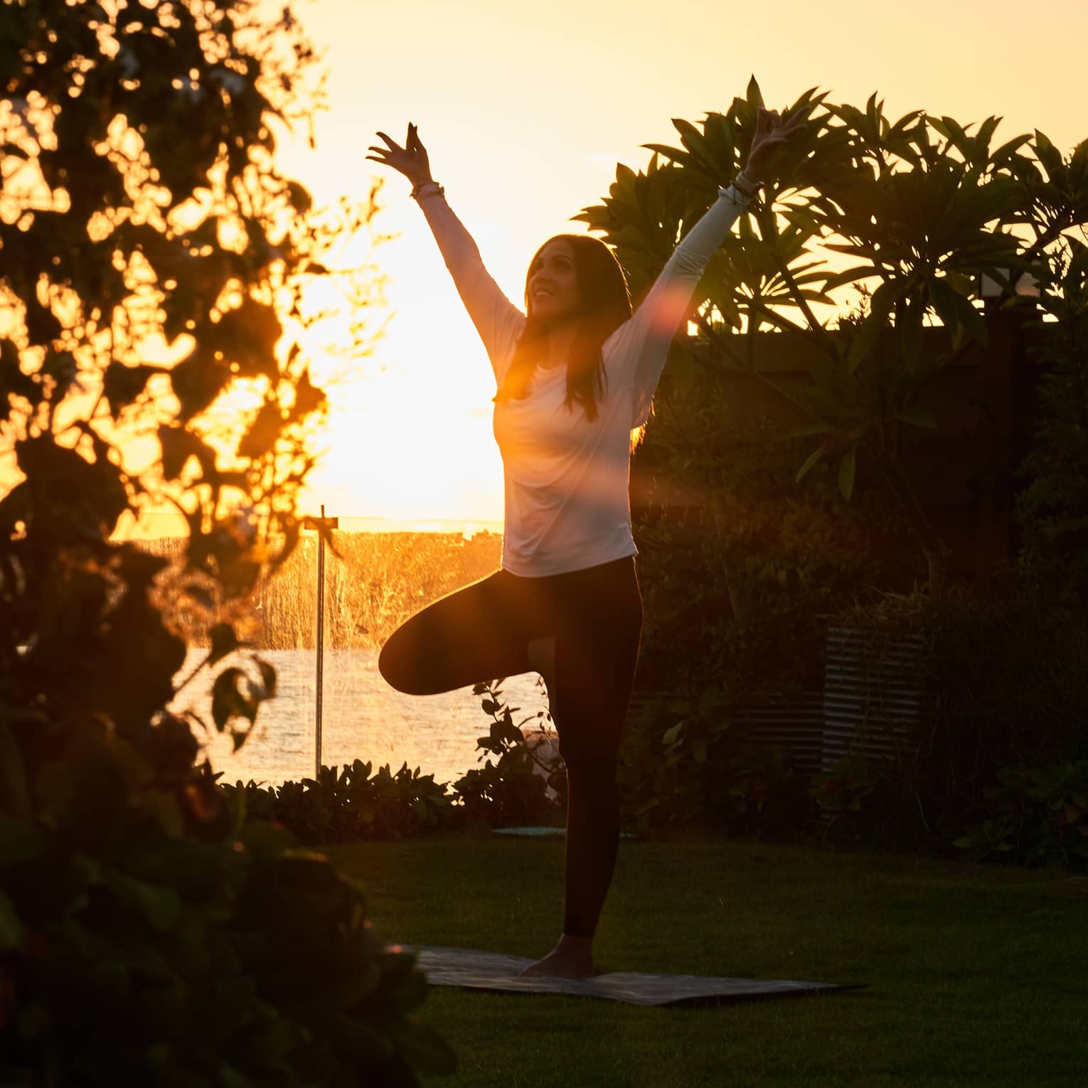 A person practising yoga in a tree pose at sunrise, surrounded by greenery with the sun shining brightly in the background.