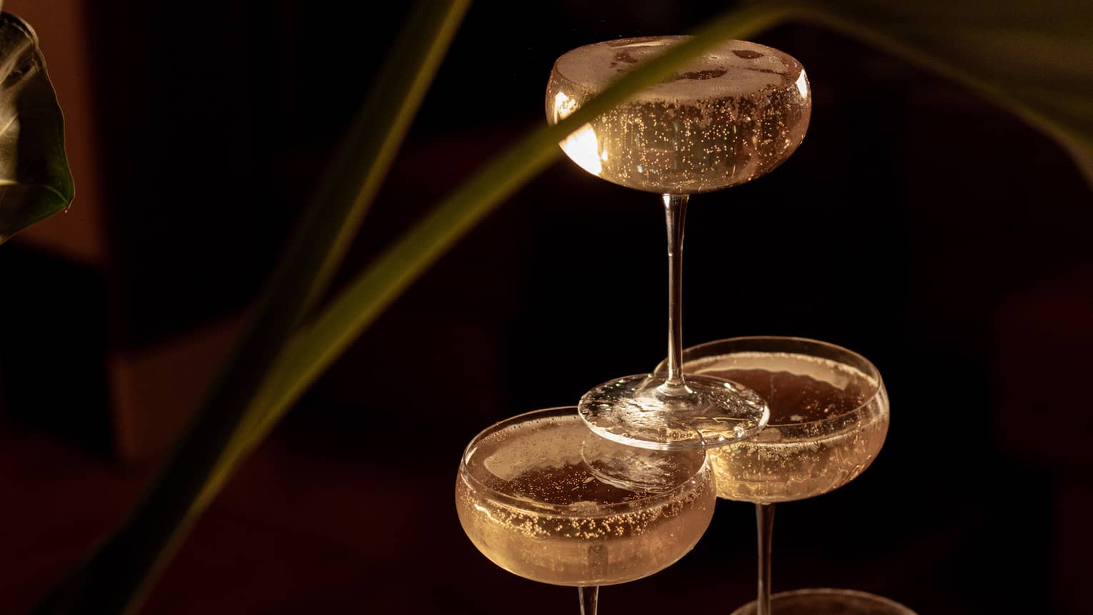 Six coupe Champagne glasses stacked in a pyramid
