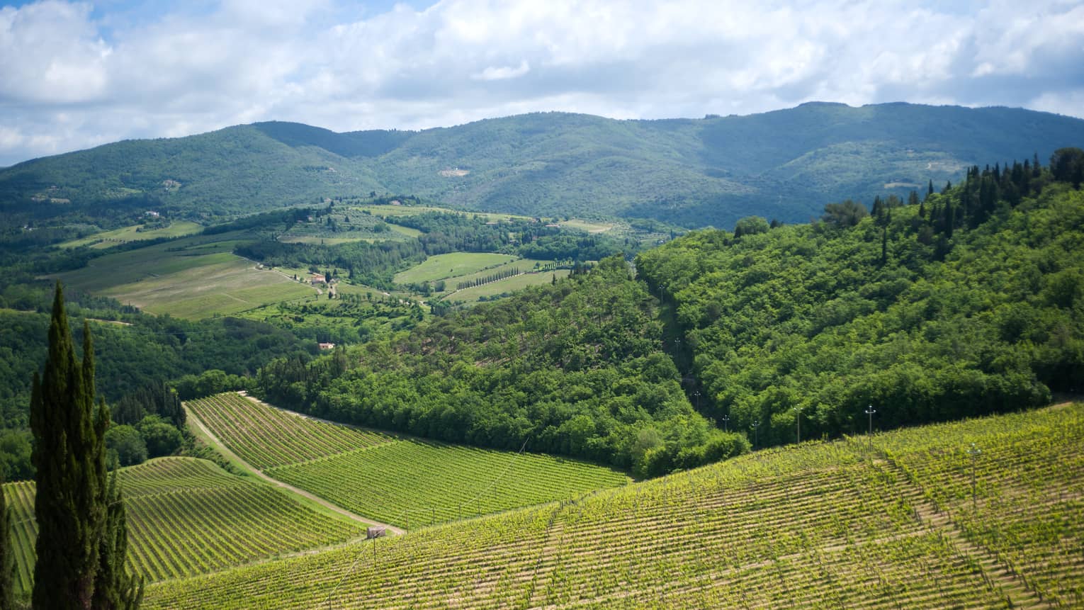 A view from above of green cultivated fields and woods on rolling hills, with forest-covered mountains in the distance.