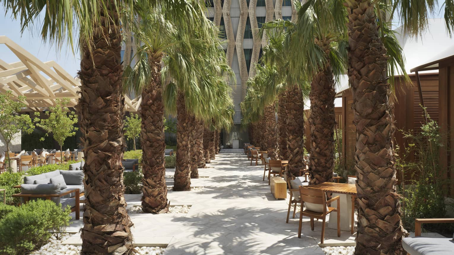 Two rows of palm trees at Al Shaheed Park with lounge chairs 