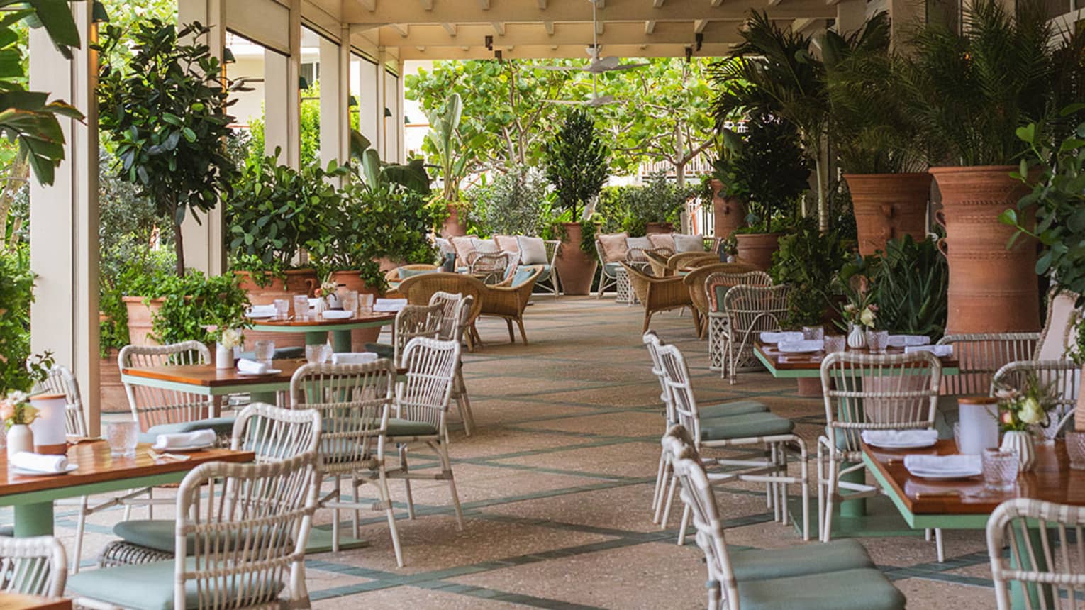Restaurant terrace with sage green and white decor and live greenery