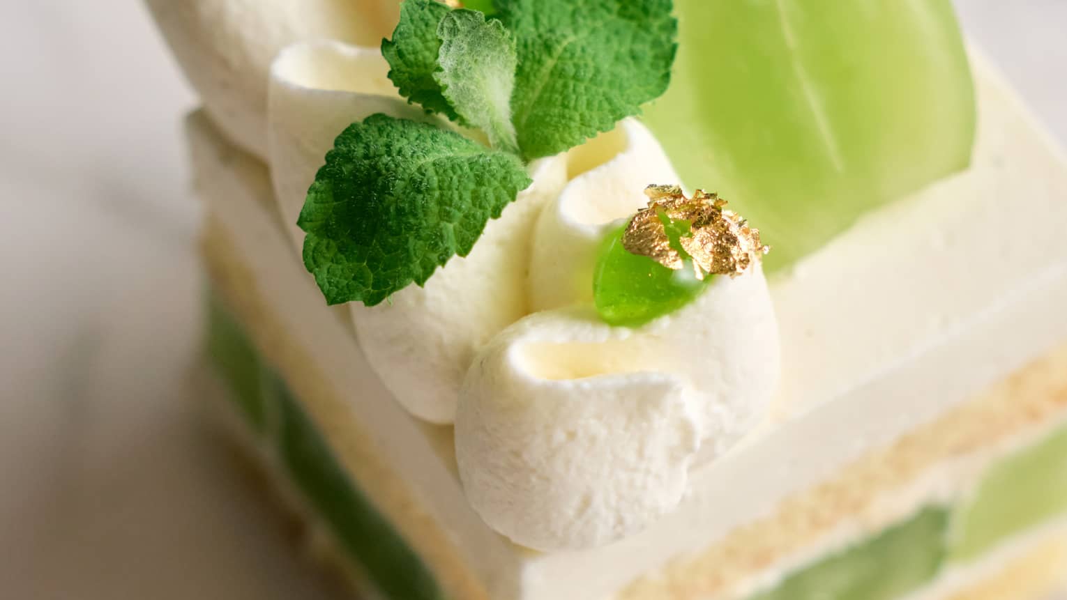 A piece of cake with whipped cream and fresh green grapes