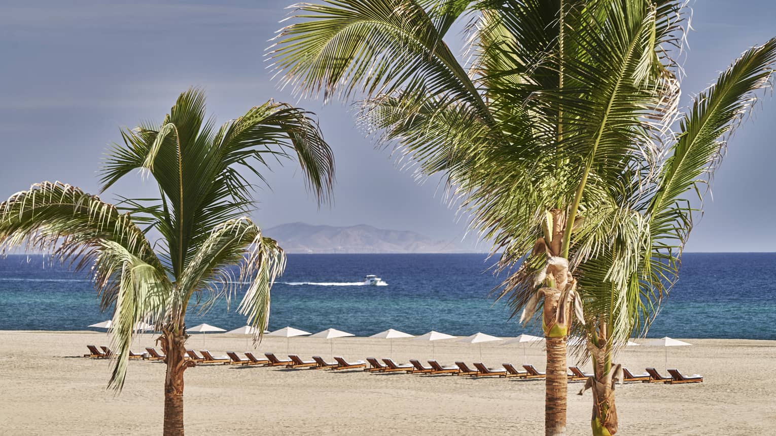 A row of luxury lounge chairs and white umbrellas on a private stretch of white-sand beach
