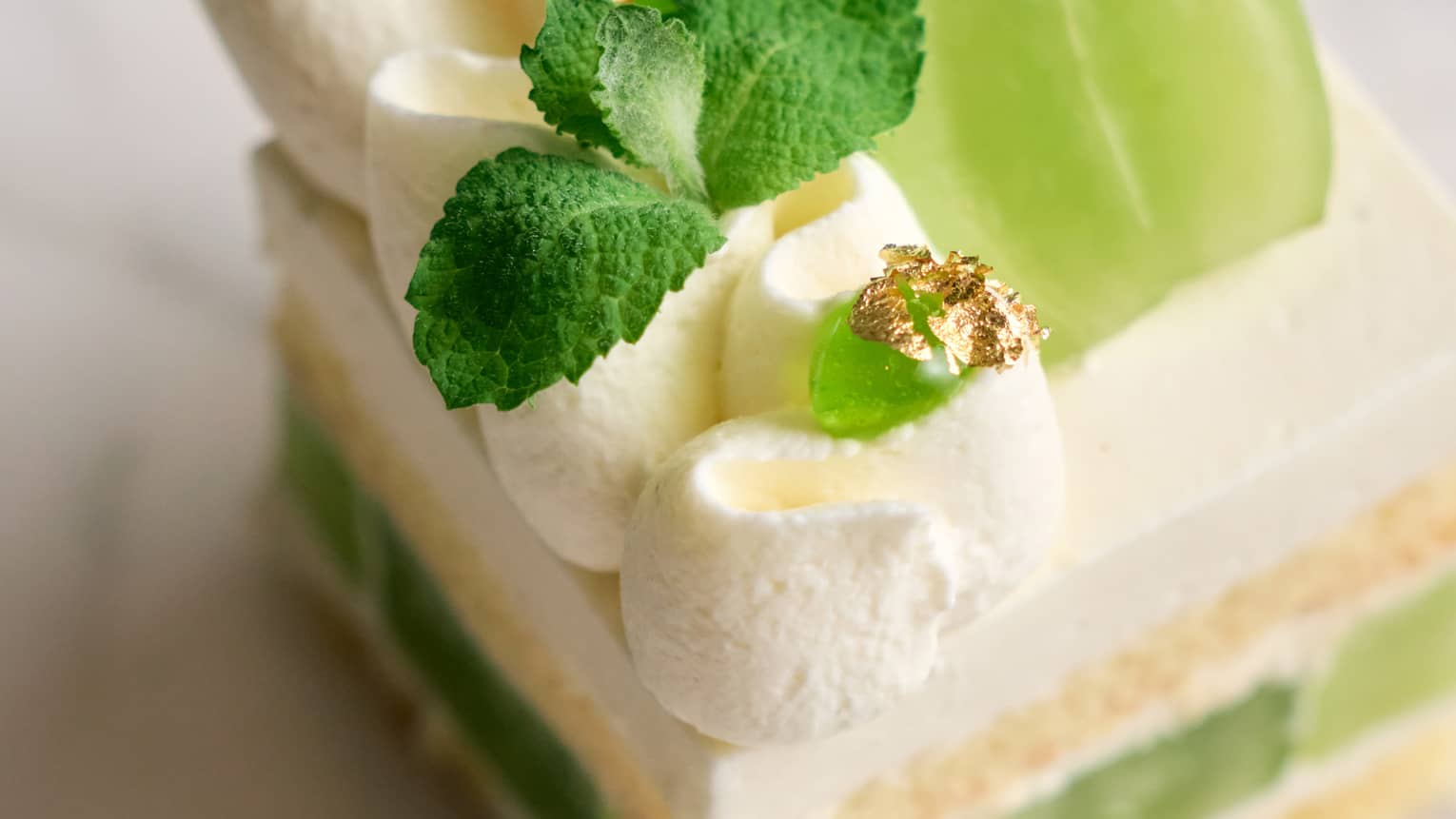 A piece of cake with whipped cream and fresh green grapes