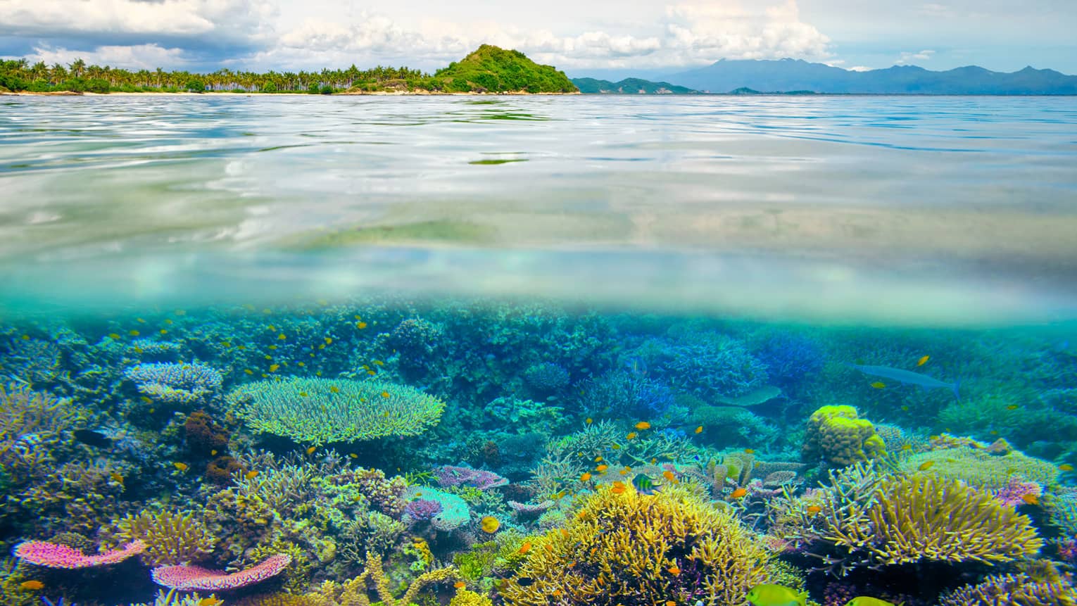 Vibrant colored coral reefs are visible beneath the surface of clear water