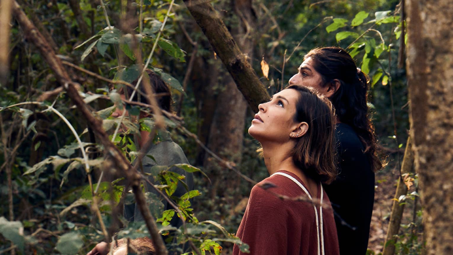 Close-up of four guests standing in a dense forest, two of them partially hidden by the foliage and two looking skyward.
