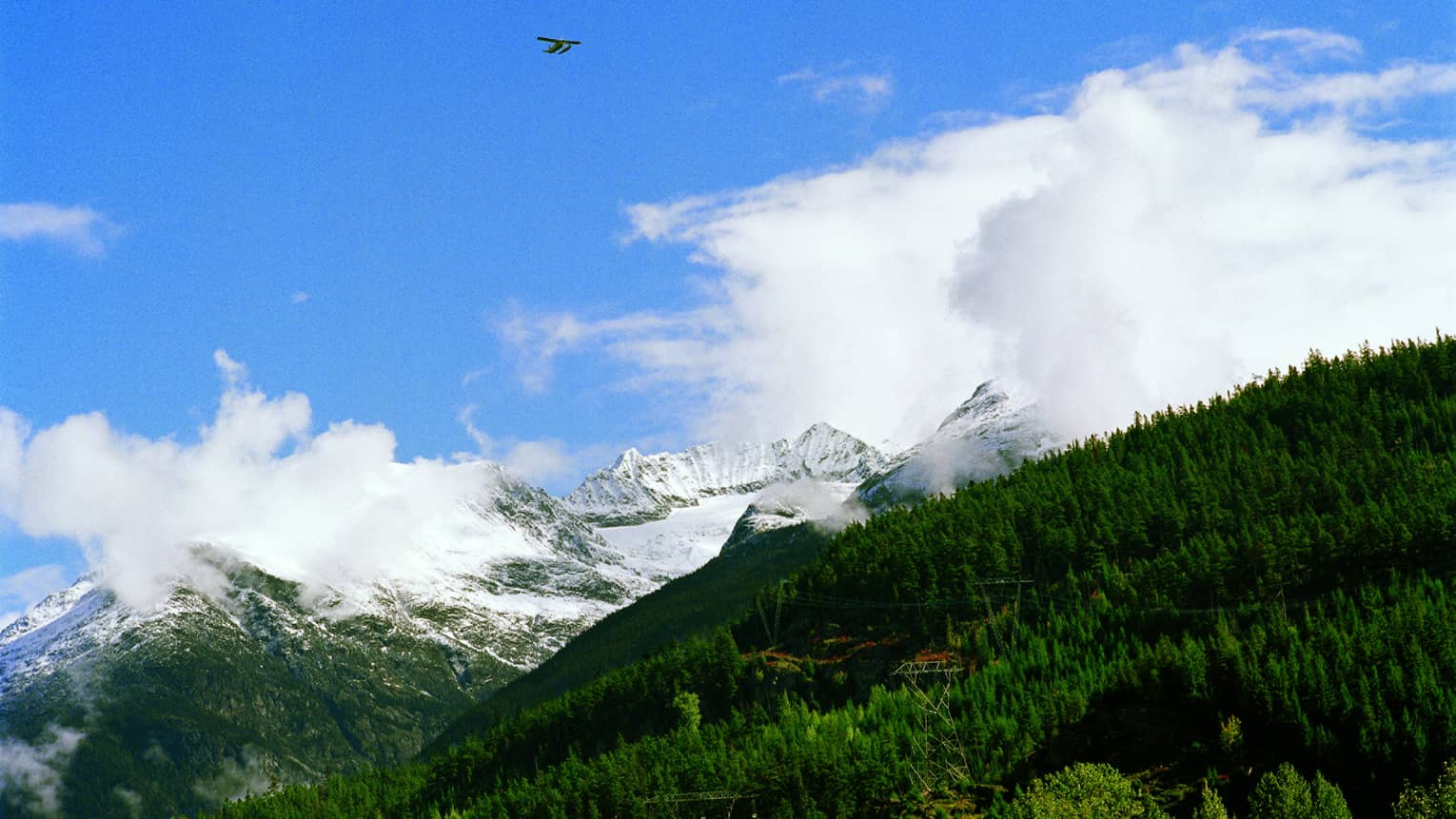 Lush green forest with snow covered mountains in background, blue sky and clouds 