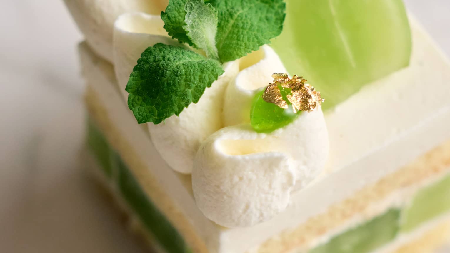 A piece of cake with whipped cream and fresh green grapes
