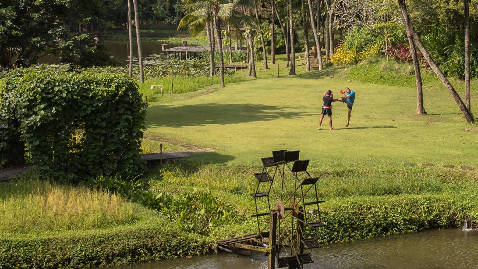 Long view of two boxers in a field, one kicking as the other blocks, dwarfed by soaring palms with a river in the foreground.