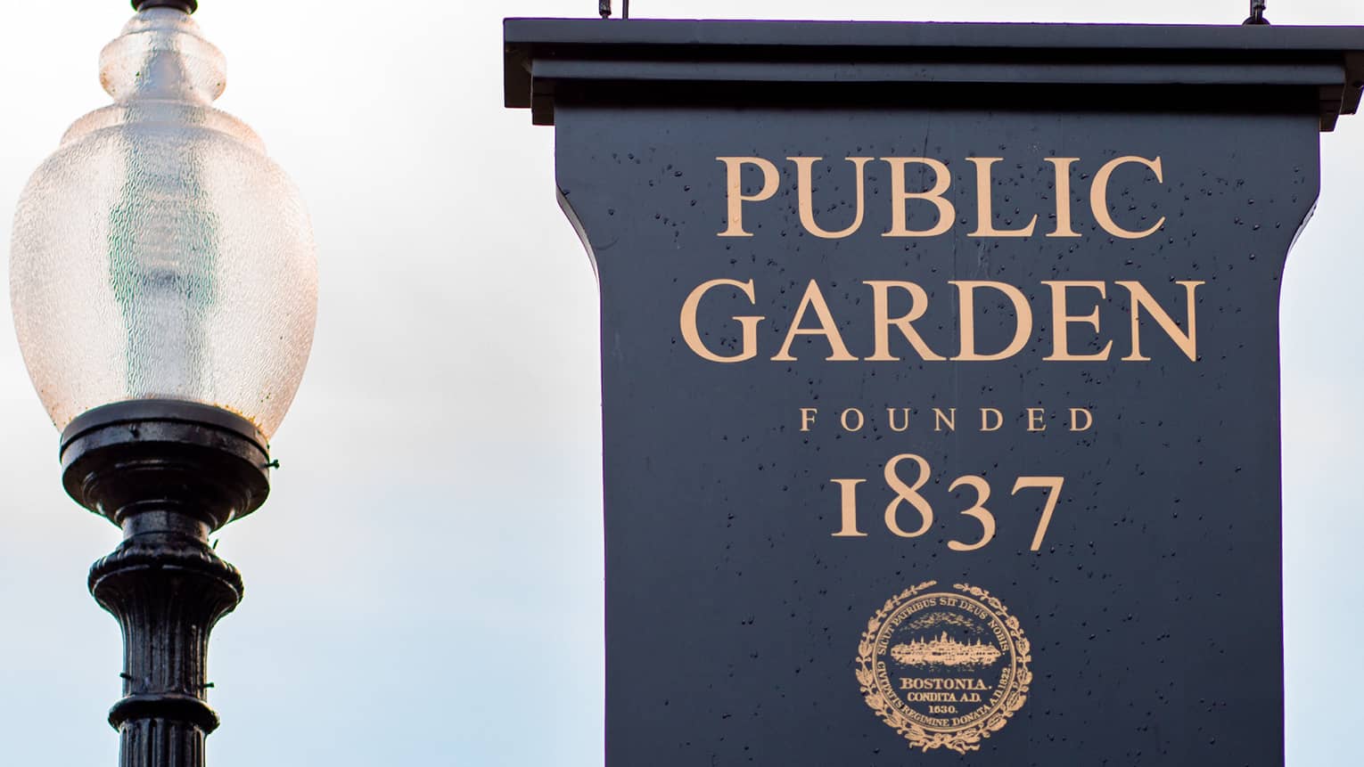 A blue outdoor sign that reads Public Garden hangs from a black rod. Behind, a tall streetlight stands amid treetops.