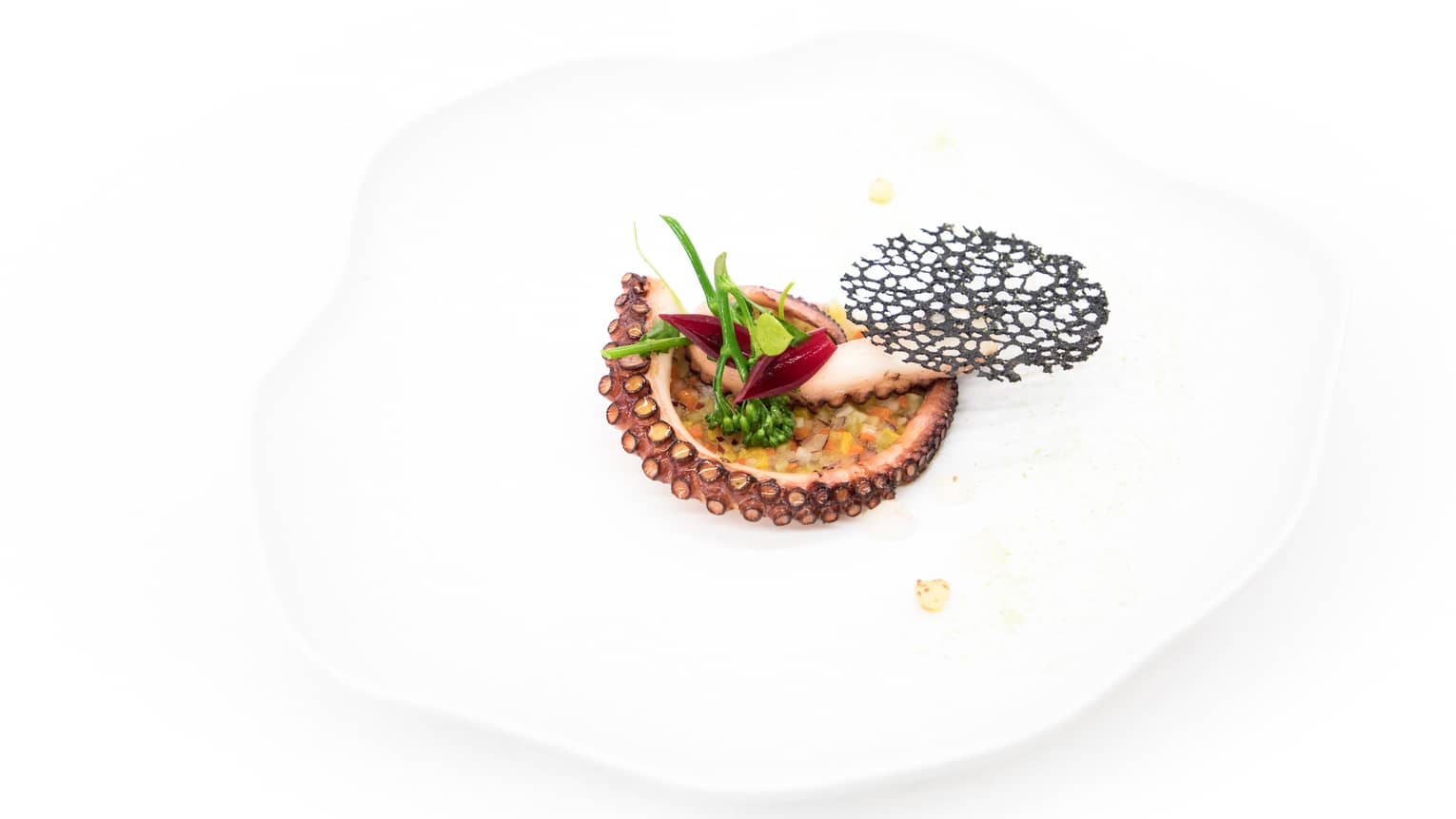 Octopus Confit from Algarve with crispy vegetables on white dish with lemon gel, Espelette pepper, green shiso