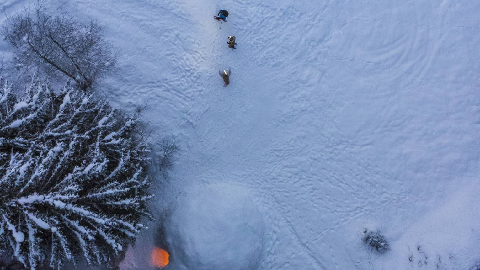 Aerial view of an igloo at night; firelight spills out the doorway onto the trees and footprints cross the fresh powder. 
