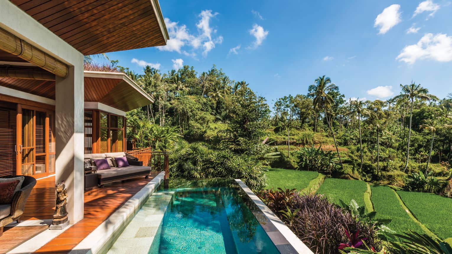 Sunny villa patio with wood deck, plush patio chair, small blue plunge swimming pool, green lawn and garden