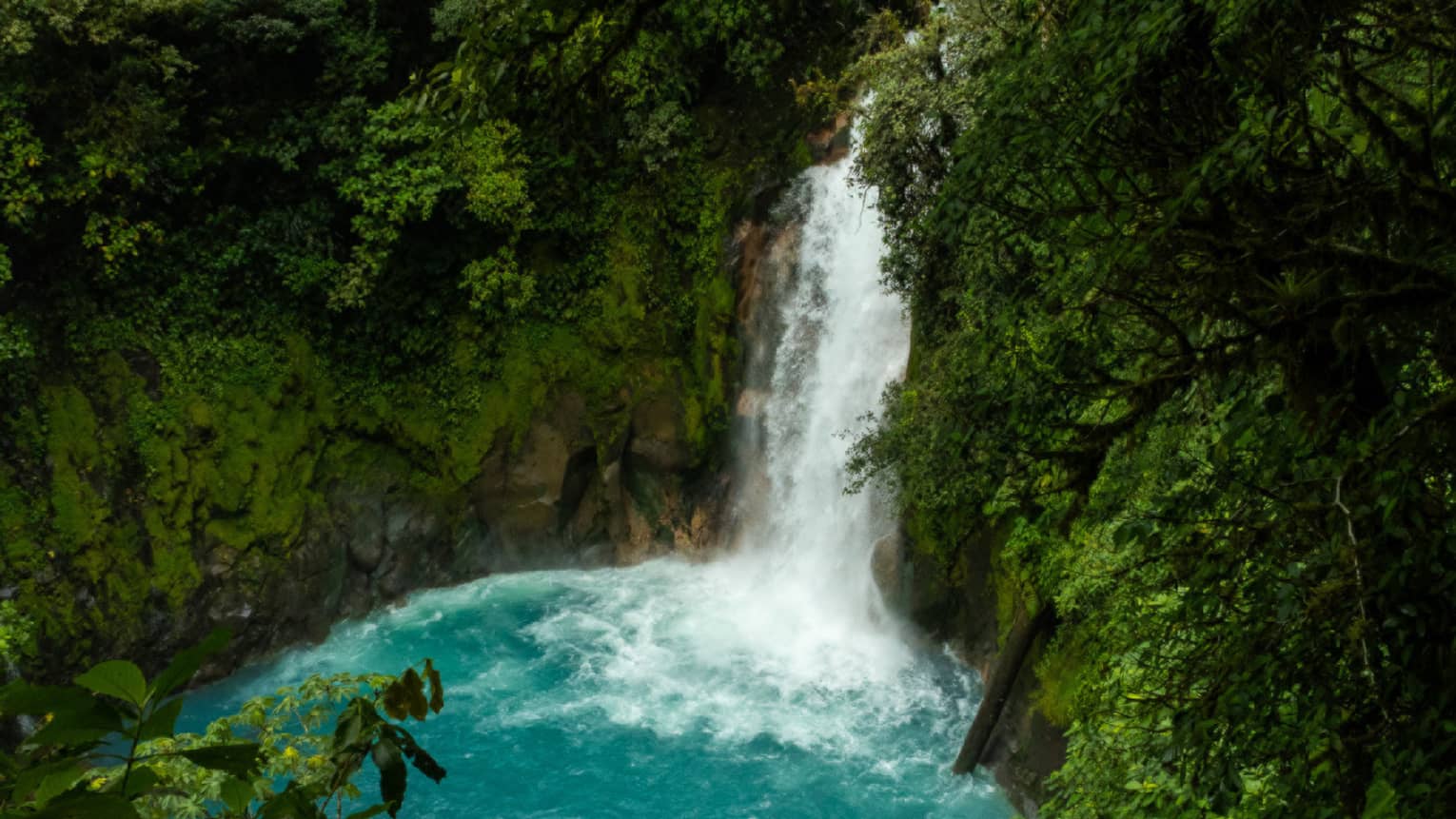 Waterfall in the middle of a dense green forest