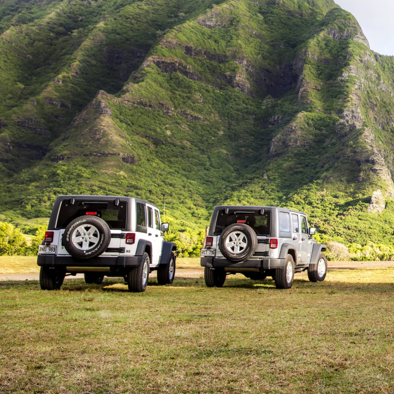 Rear view of three Jeeps and a group of slender palm trees on a grassy plain against a verdant crevassed mountain backdrop.