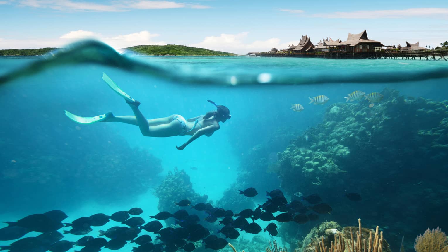 Underwater view of a snorkeller swimming alongside schools of fish in a coral reef surrounded by clear blue waters.