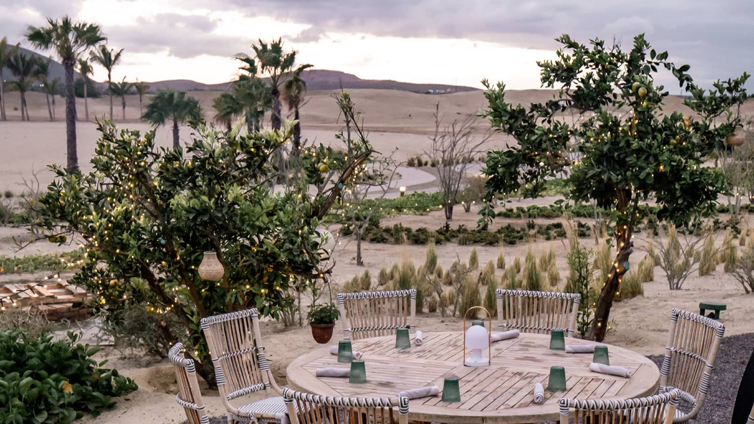 A round wooden table outside surrounded by wooden chairs, small trees, and sand.