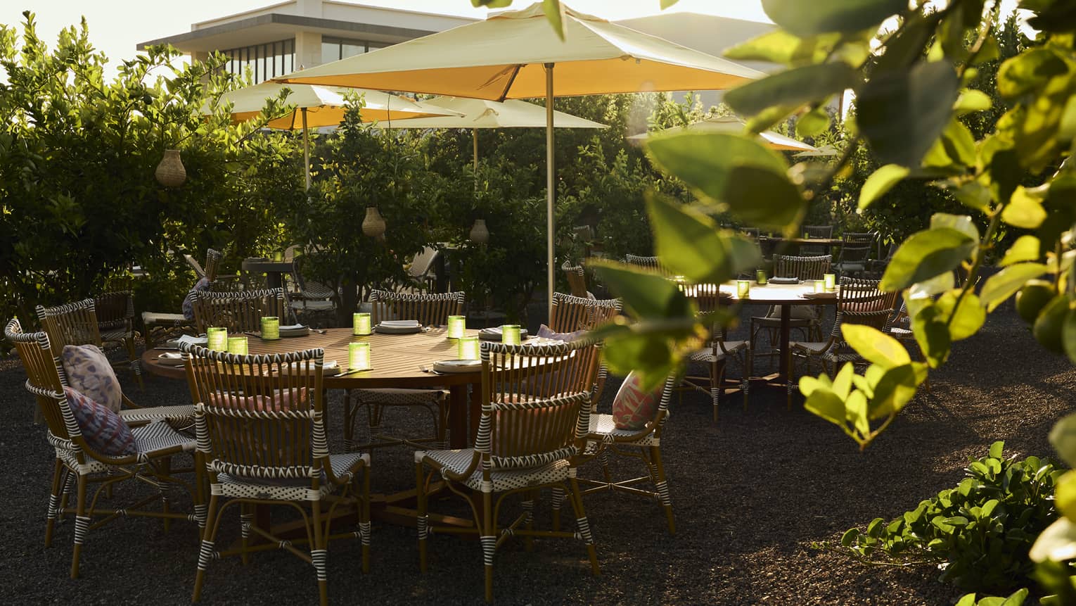 Round outdoor table with rattan chairs in garden setting