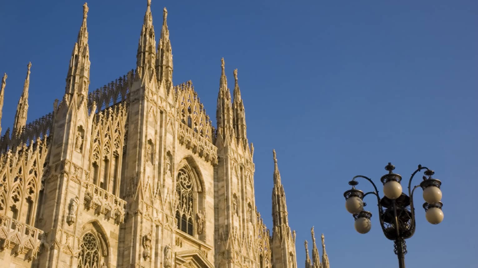 An upward view of a magnificent Gothic cathedral in the afternoon sun. The roof has hundreds of crosses on arches.