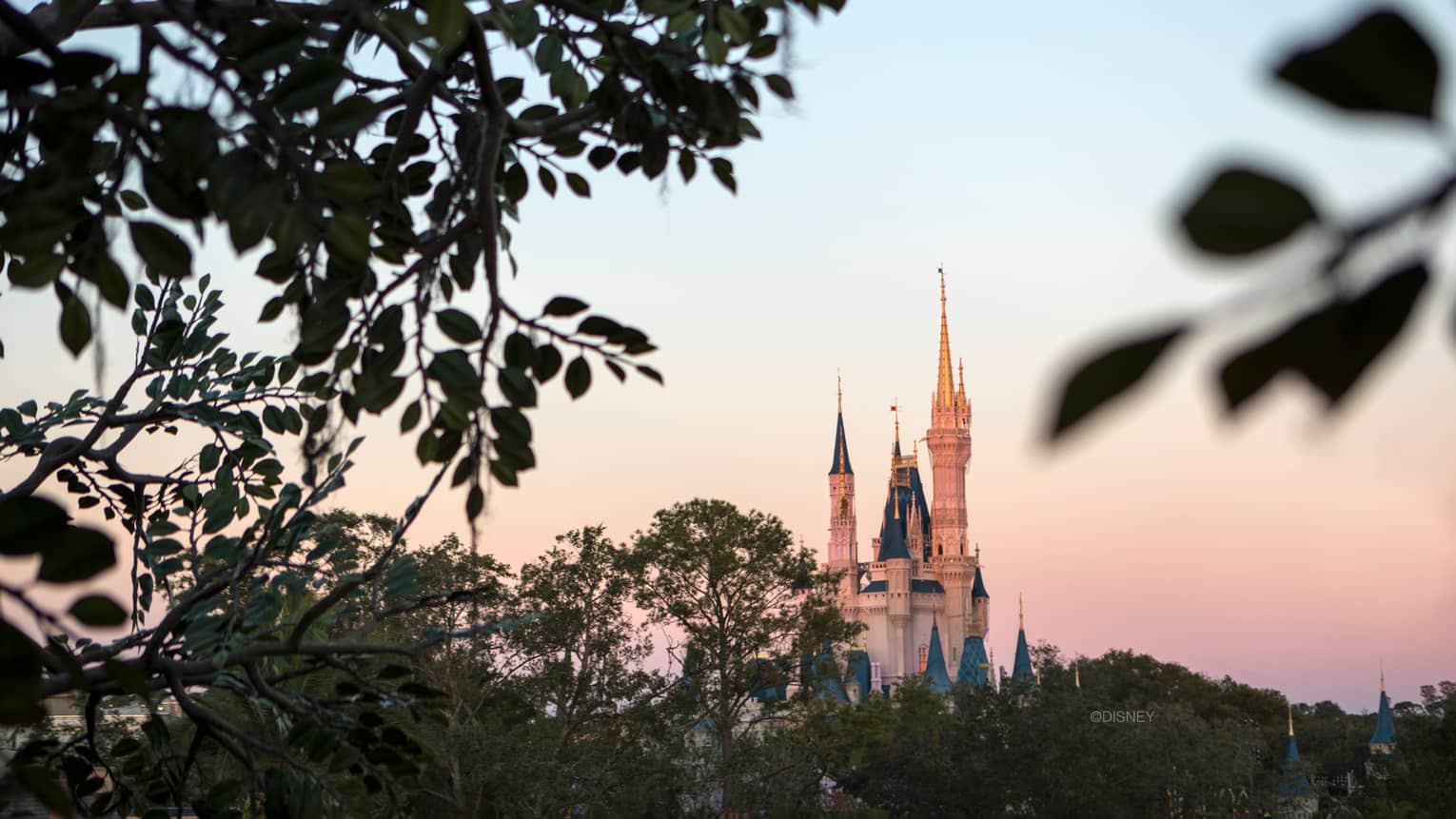 A view through the trees of the sunsetting over of Disney World's castle in Orlando 