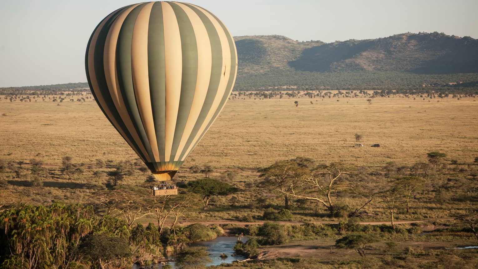 Striped hot air balloon hovers over Serengeti field