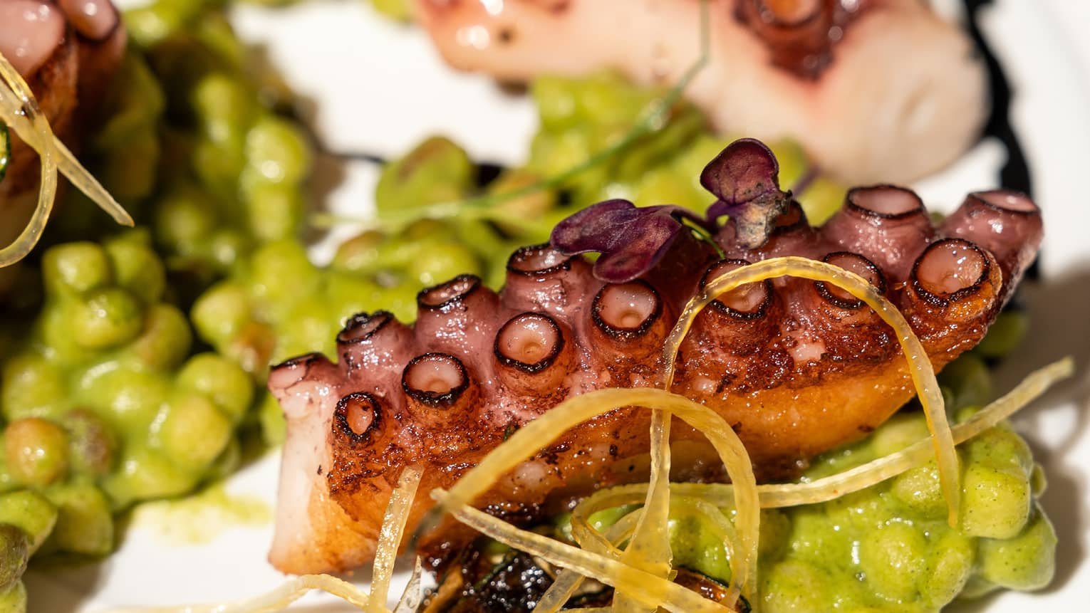 Roasted octopus at a fine dining Italian restaurant