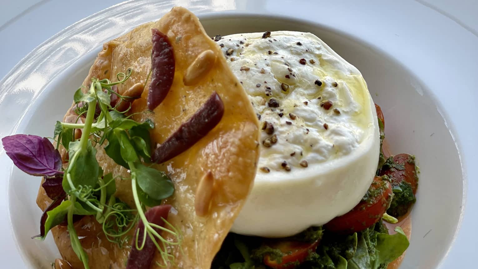 Burrata with arugula salad, tomato coulis, pesto, black olives and pine nuts served with a fennel cracker on a white plate