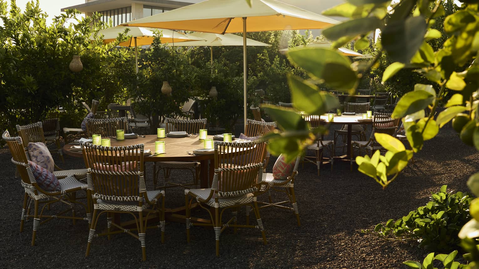 Round outdoor table with rattan chairs in garden setting