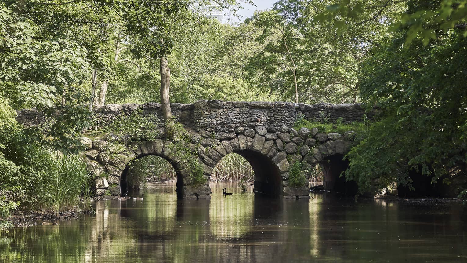 A stone bridge crossing a river surrounded by trees.