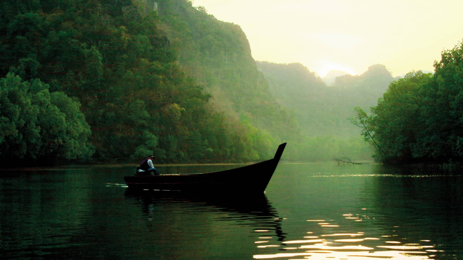 Boat on the river looking out on the mangroves