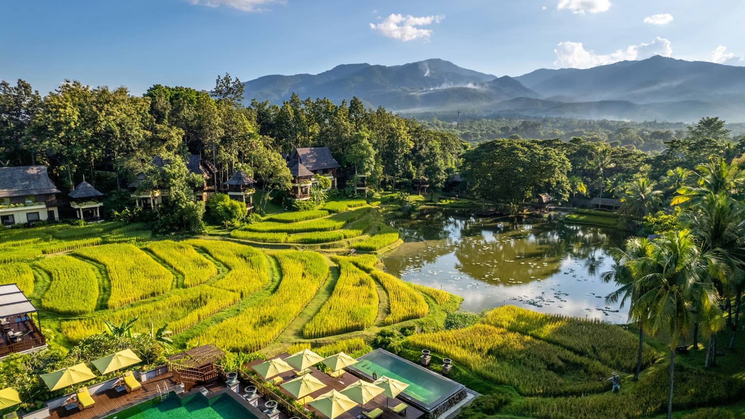 Lush tropical gardens and rice paddies fill our expansive 32-acre plantation