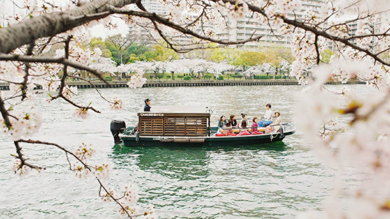 Framed by pink cherry blossoms, a ten-person tour boat with a tiny wooden cabin glides along a river flanked by trees.