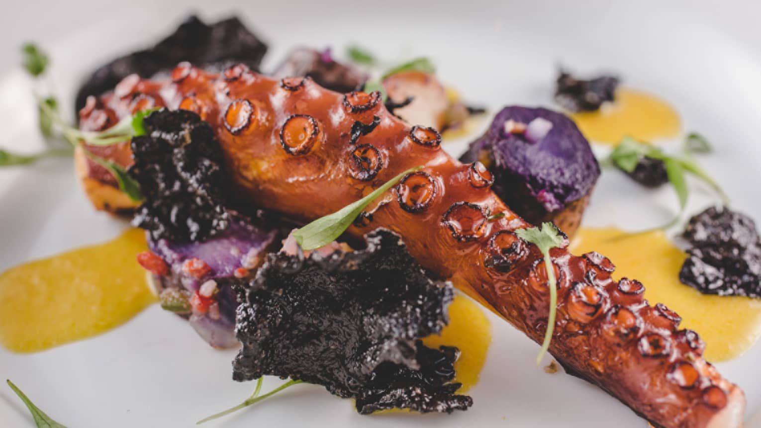 An octopus tentacle in a roasted yellow pepper sauce
