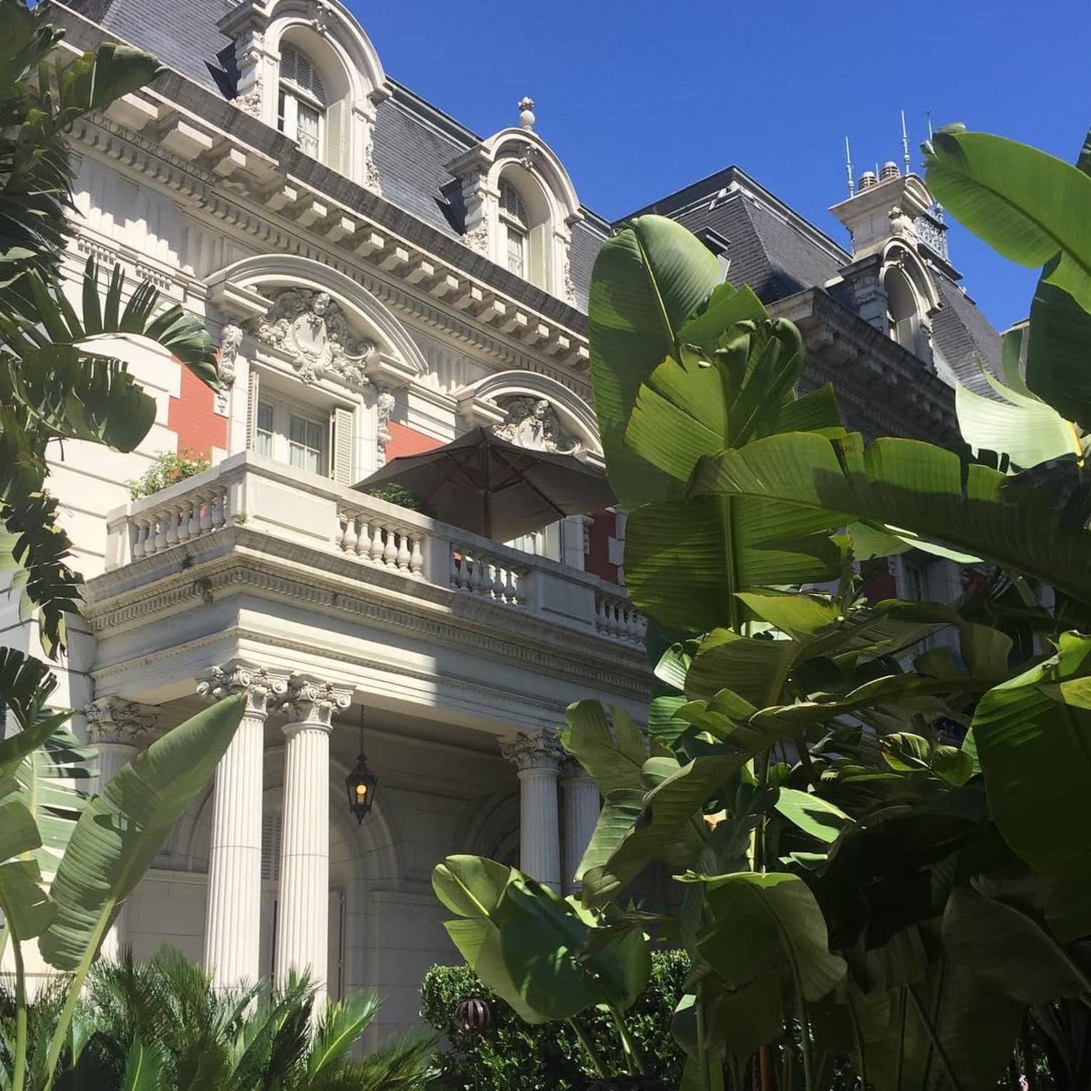 Exterior view of white pillars outside historic mansion, large tropical leaves, sunny day