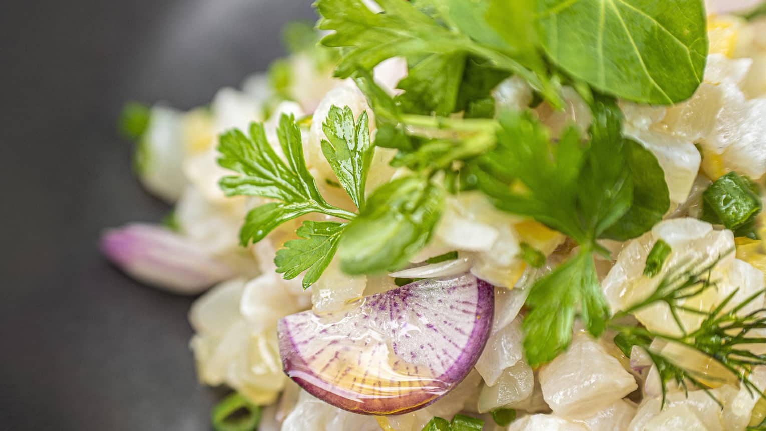 Riverside Fish Tartare