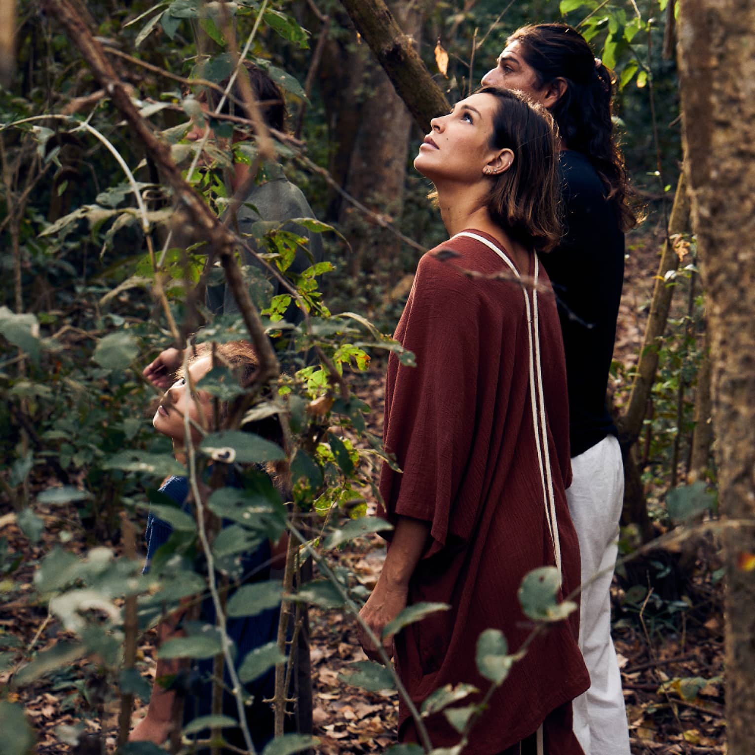 Close-up of four guests standing in a dense forest, two of them partially hidden by the foliage and two looking skyward.