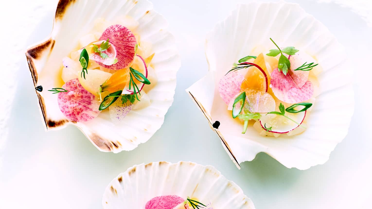 Scallop tartare with herbs plated on large seashells
