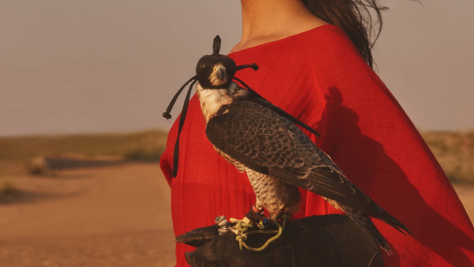 A woman in a red dress holds a falcon in a desert