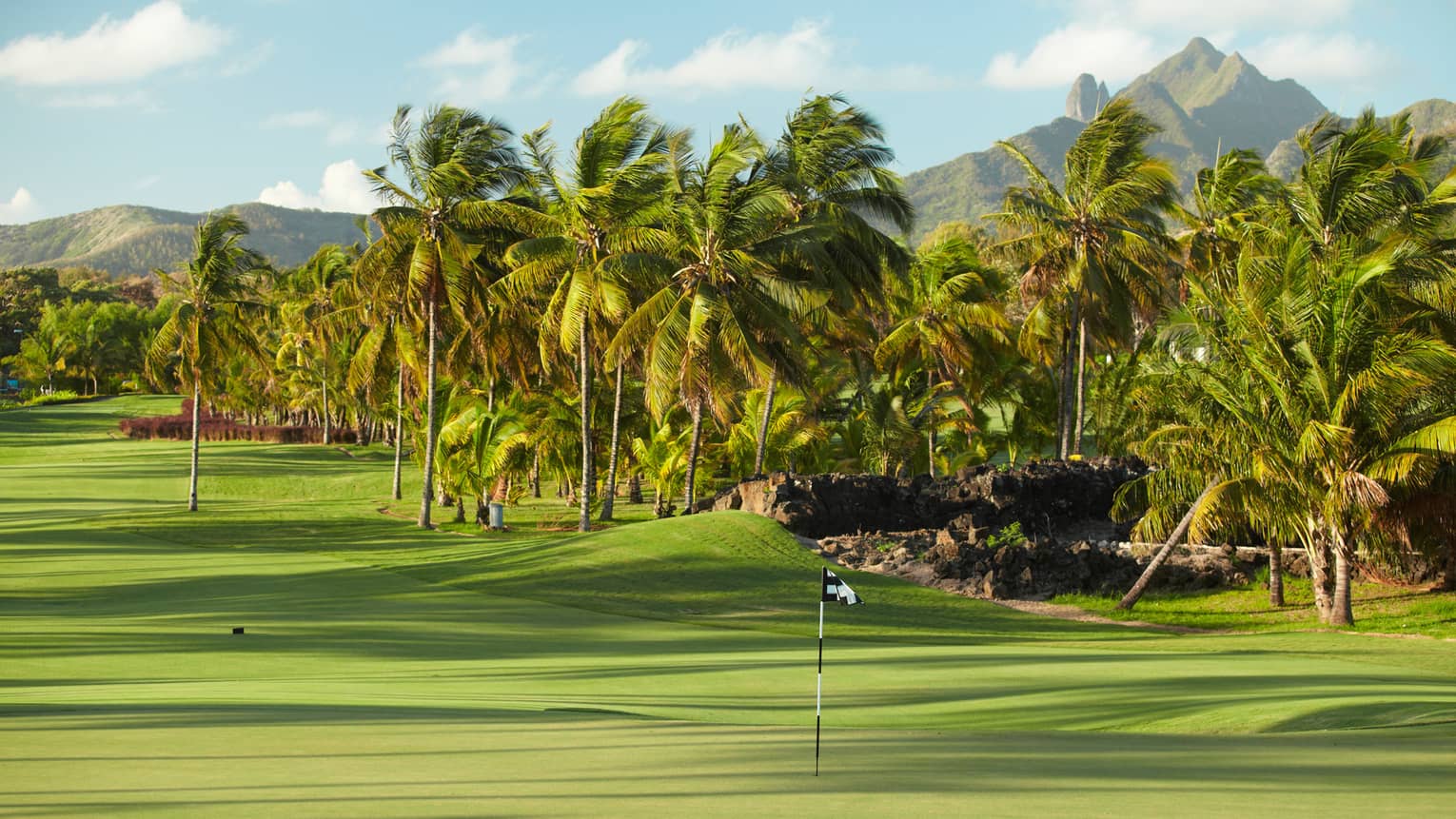 Flags on 10th hole of golf course with tropical palm trees lining green