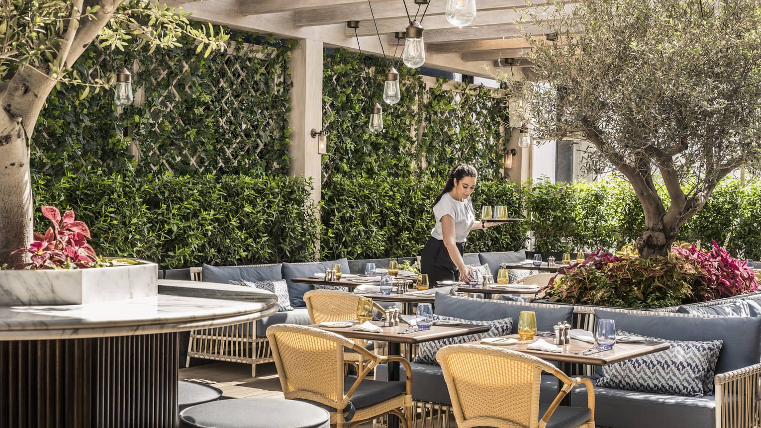 A waiter sets a table in an outdoor veranda featuring bonsai trees, and blue chaises.