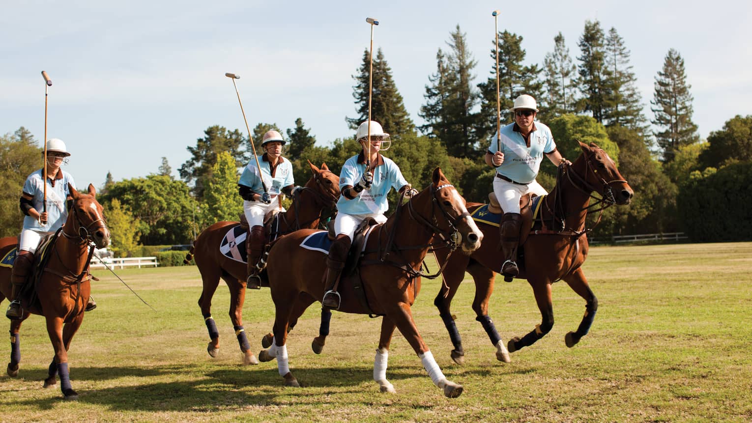 Group of polo players riding horses on green lawn
