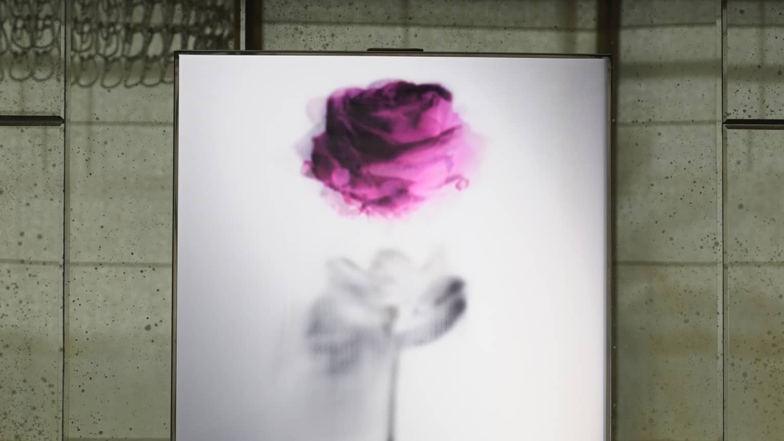 A painting of a pink rose illuminated by a wall sconce