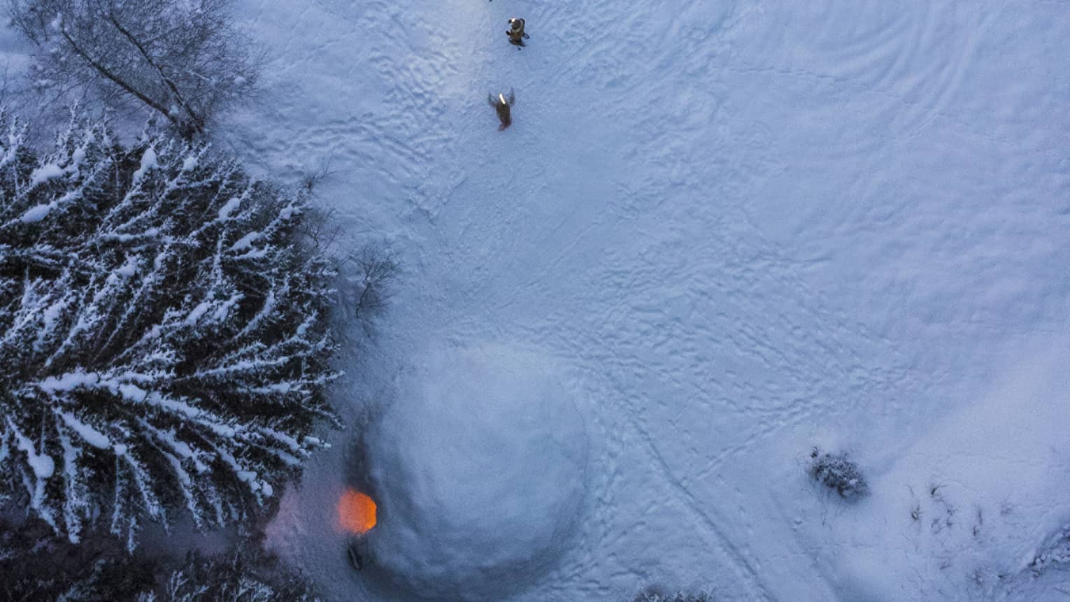 Aerial view of an igloo at night; firelight spills out the doorway onto the trees and footprints cross the fresh powder. 