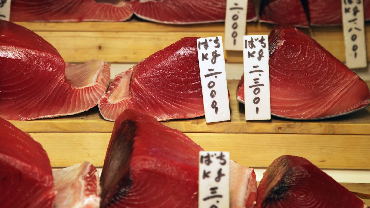 Close-up view of labelled cuts of glistening, pinky-red fresh tuna displayed on three levels of wooden risers.