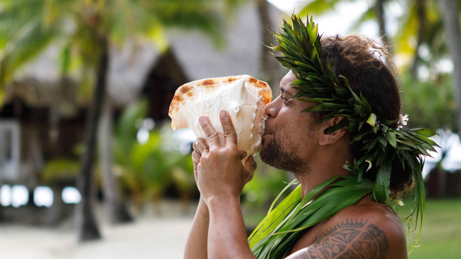 Tahitian man holds large sea shell to his lips on resort garden path