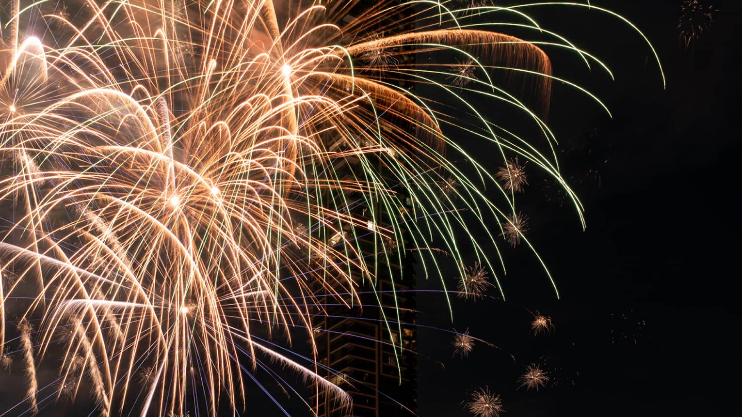 Colourful fireworks are set off at night by the river